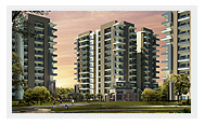 Gurgaon Real Estate Agents